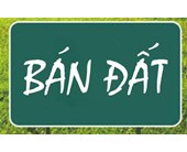 Bán đất mặt tiền đường nhựa tại quận 12