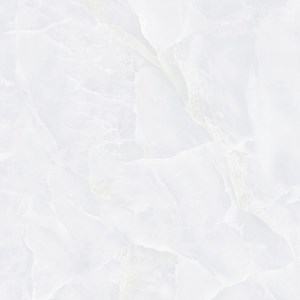 Gạch Đồng tâm 40x40 485