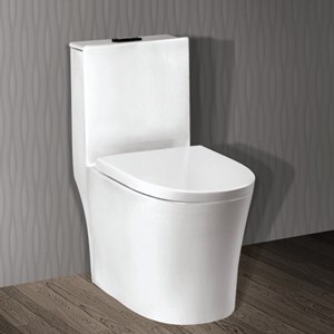 Bàn cầu CERAVI C501