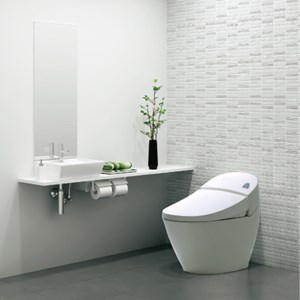 Bàn cầu INAX AC-2700 VN