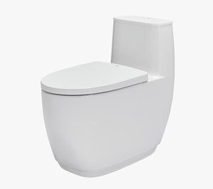 Bàn cầu Inax AC 1052 VN