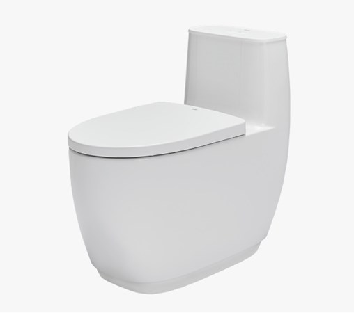 Bàn cầu Inax AC 1052 VN