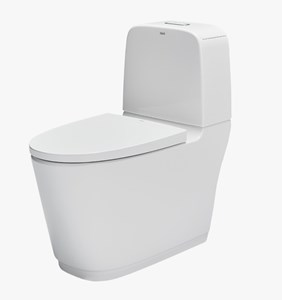 Bàn cầu Inax AC 832 VN