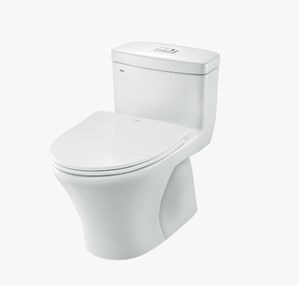 Bàn cầu Inax AC 900 VRN-2