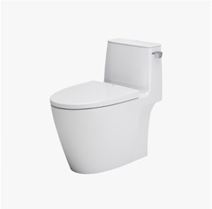 Bàn cầu Inax AC 912 VN