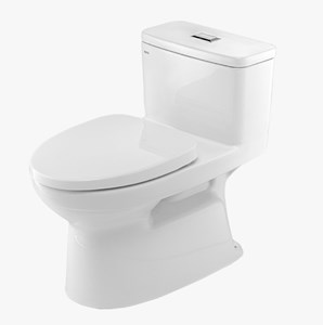 Bàn cầu Inax AC 969 VN