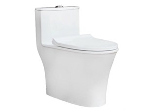 Bàn cầu Thiên Thanh 1 khối GALAXY - CK66