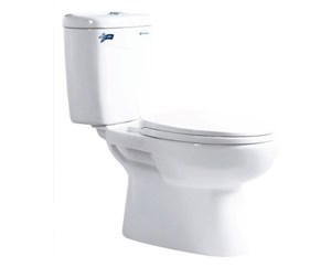 Bàn cầu Thiên Thanh 2 khối KING - CD4829