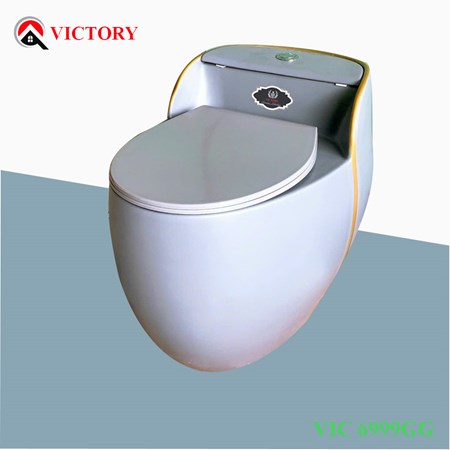 Bàn cầu VICTORY VIC 6999GG