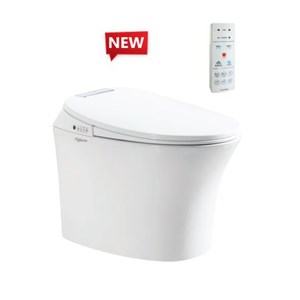 Bàn cầu Viglacera V 93