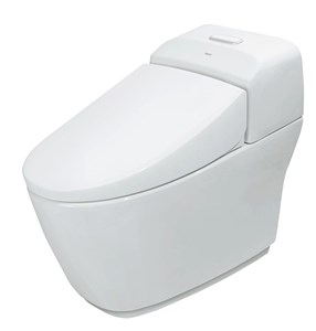 Bàn cầu inax AC-1032VN