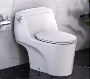 Bàn cầu khối Caesar C1353