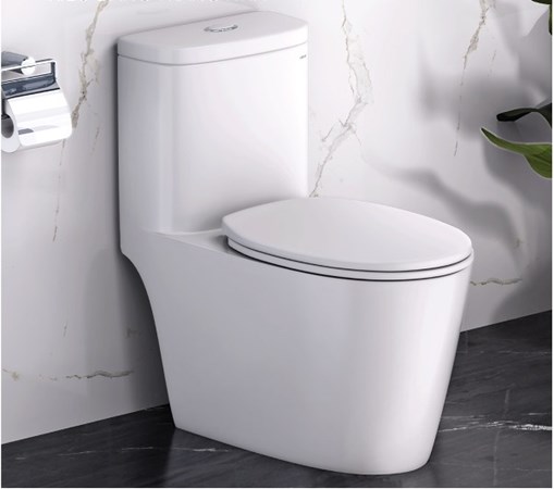 Bàn cầu khối Caesar CD1364