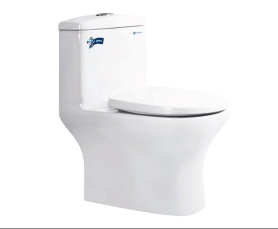 Bàn cầu khối Thiên Thanh 1 khối RIVER - CK69