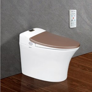 Bàn cầu thông minh Viglacera V93 GW