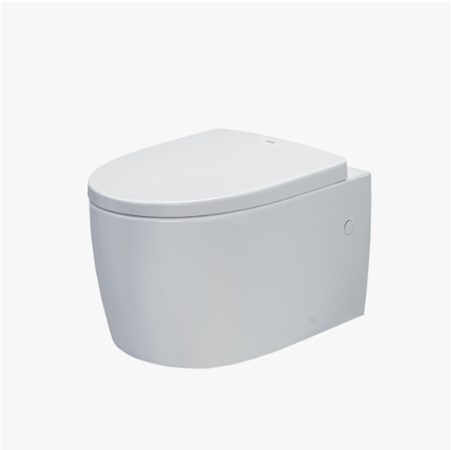 Bàn cầu treo tường AC 952 VN