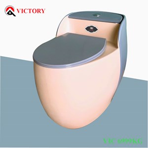 Bàn cầu trứng VICTORY VIC 6999 KG