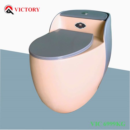 Bàn cầu trứng VICTORY VIC 6999 KG