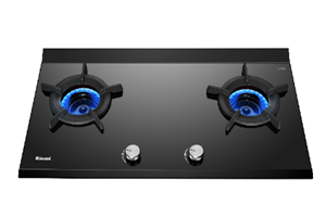 Bếp gas âm RB-2VCGN