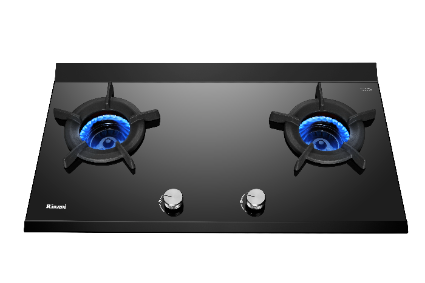 Bếp gas âm RB-2VCGN