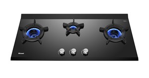 Bếp gas âm RB-3VCGN