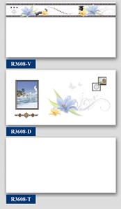 Bộ Gạch ốp tường Hà Thanh R3608