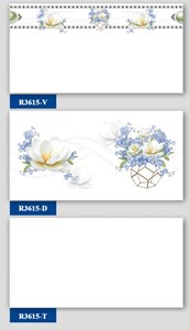 Bộ Gạch ốp tường Hà Thanh R3615