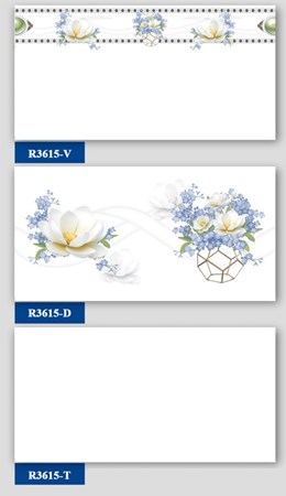 Bộ Gạch ốp tường Hà Thanh R3615