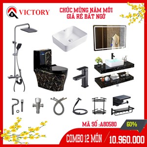 Bộ combo bồn cầu trọn bộ thiết bị 80580