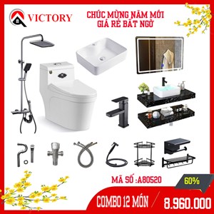 Bộ combo thiết bị vệ sinh cao cấp 80520