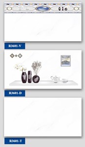 Bộ gạch ốp Hà Thanh R3601