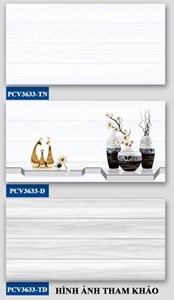 Bộ gạch ốp tường 300x600 3633