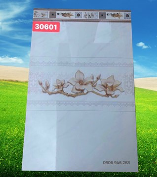 /UserUpload/Product/Bo-gach-op-tuong-300x600-PAK-30601.jpg