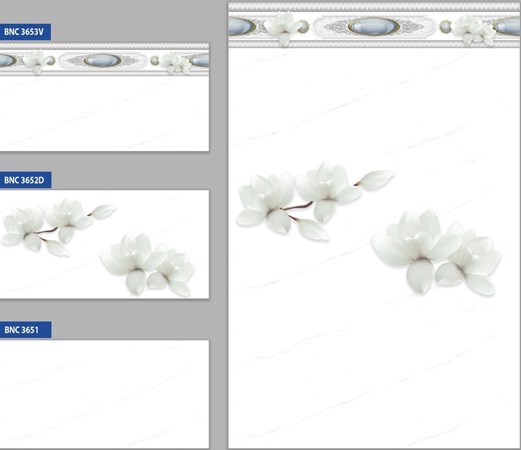 Bộ gạch ốp tường BNC 3651