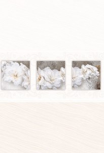 Bộ ốp Đồng Tâm Roxy 001-002