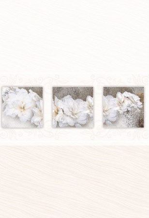 Bộ ốp Đồng Tâm Roxy 001-002