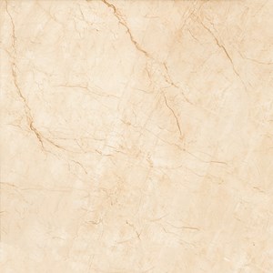 Đá Granite bóng kiếng toàn phần NY 8806