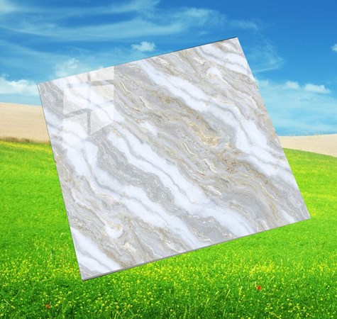 Đá bóng kiếng 800x800 PANCERA PP8808