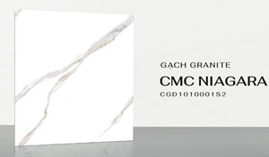 Đá bóng kiếng 1mx1m CMC CGD1010001S2