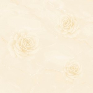 Đá bóng kiếng TASA 800x800 TS 8113