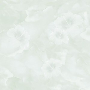 Đá bóng kiếng TASA 800x800 TS 8167