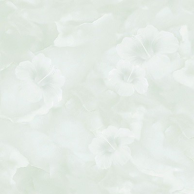 Đá bóng kiếng TASA 800x800 TS 8167