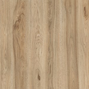 Đá bóng kiếng Tasa 80x80 1809