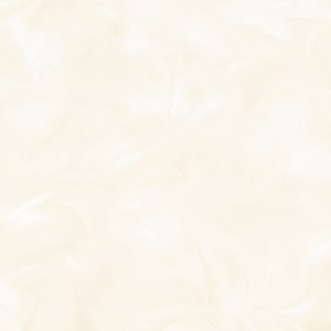 Đá bóng kính PRIME 600x600 9075