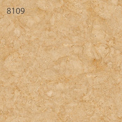 Đá bóng kính TASA 80x80 TS 8109