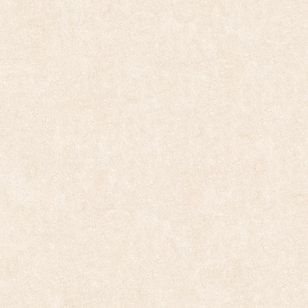 Đá bóng kính TASA 80x80 TS 8115