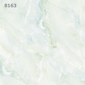 Đá bóng kính TASA 80x80 TS 8163