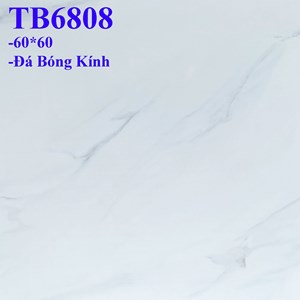 Đá bóng kính Viglacera TB 6808