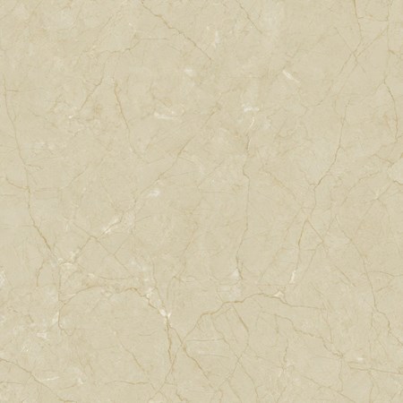 Đá bóng kính toàn phần Catalan 80x80 TITAN 8035