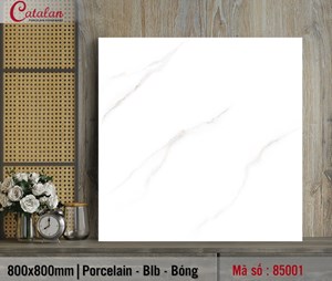 Đá lát nền 80x80 Porcelain Catalan TITAN 85001